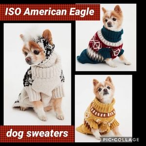 ISO Dog Sweaters - American "beagle" Outfitters